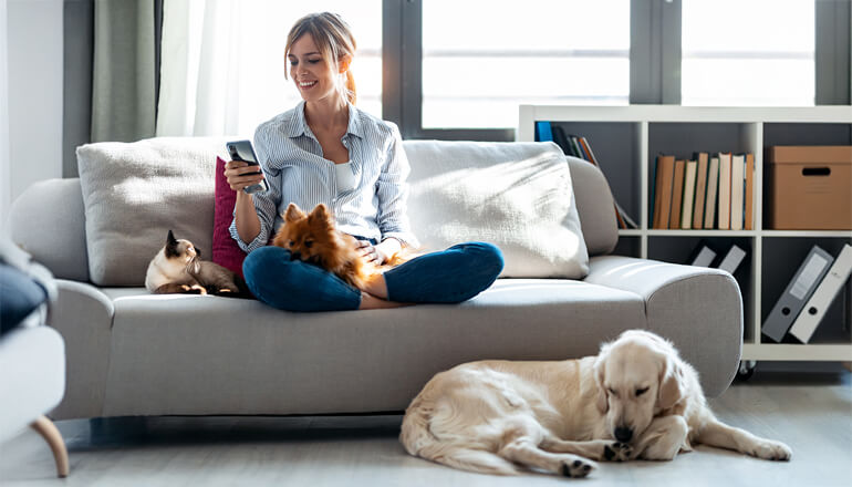 Article PetAI - An AI Assistant Providing Personalized Pet Care Advice Image