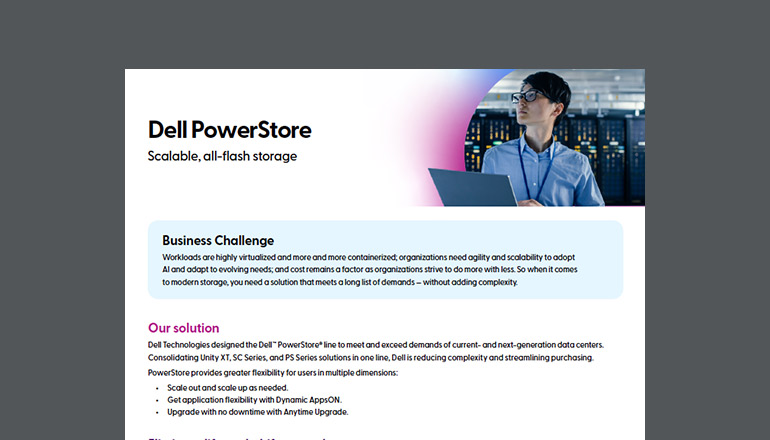 Article Dell PowerStore Image