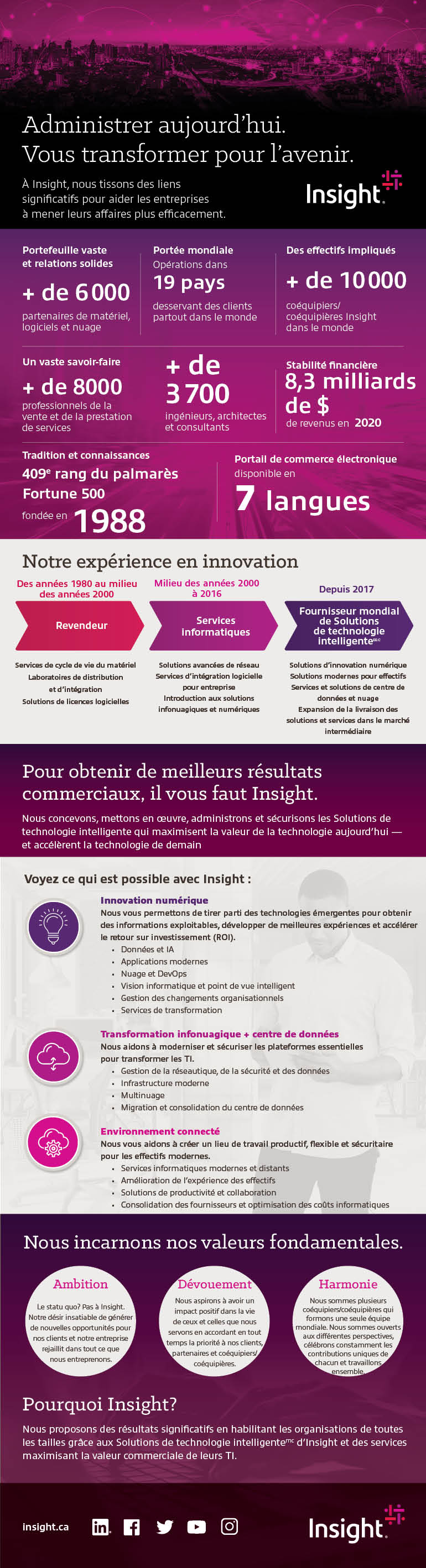 Insight Company Overview Infographic