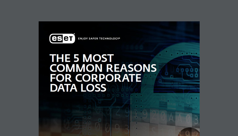 Article The Security Experts’ Guide to Choosing the Right Endpoint Protection Image