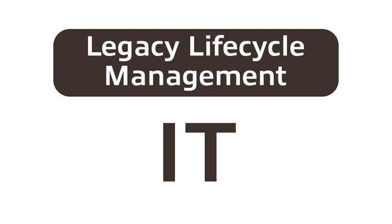 Article How to Optimize IT Resources With Insight Image
