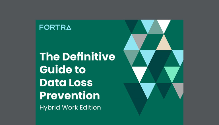 Article The Definitive Guide to Data Loss Prevention  Image