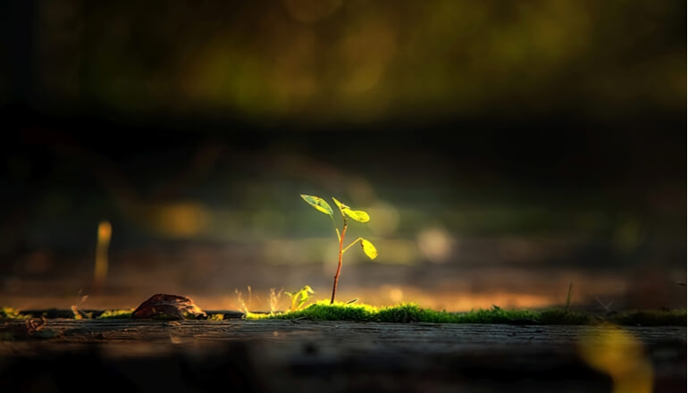 Article Samsung Business Monitors For a Greener, Smarter Future Image
