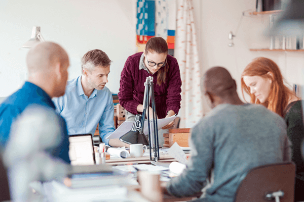 Team of business professionals gather to analyze site data