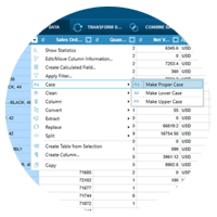 Datawatch screenshot of software