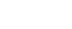Chrome logo