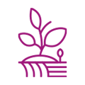 Agriculture icon