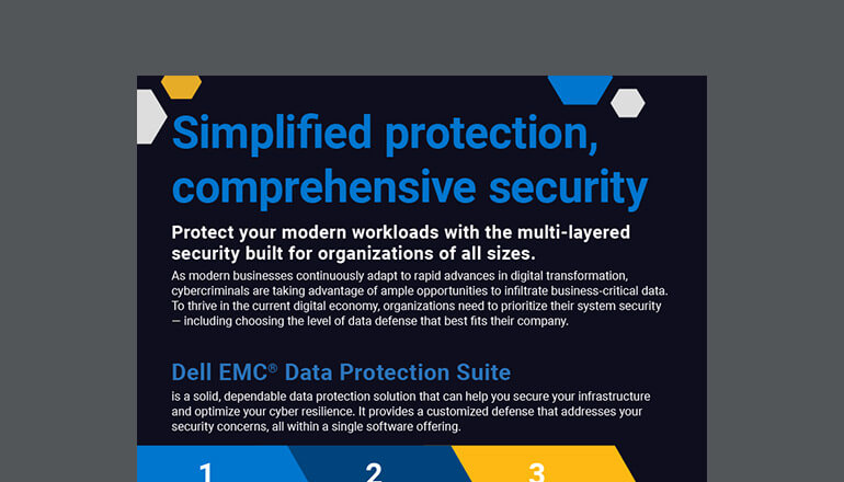 Article Simplified Protection, Comprehensive Security Image