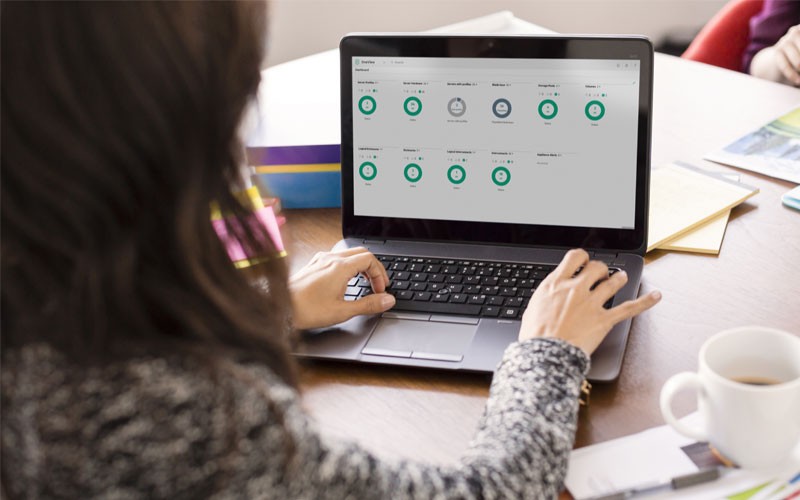 Woman working on laptop device using data management system