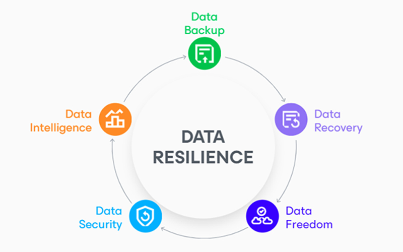 data-reilieance-image-q324