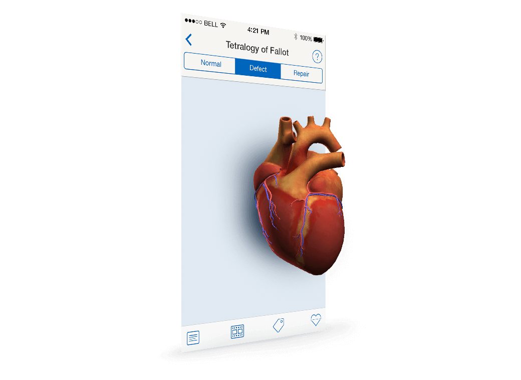 Rendering of smart phone displaying application