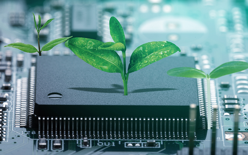 eco-connection