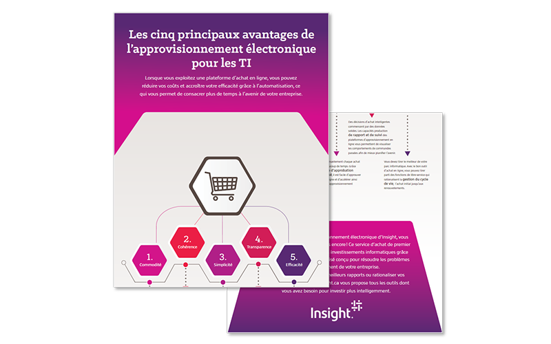 myinsight-infographic-thumb-FR myinsight-infographic-thumb-FR