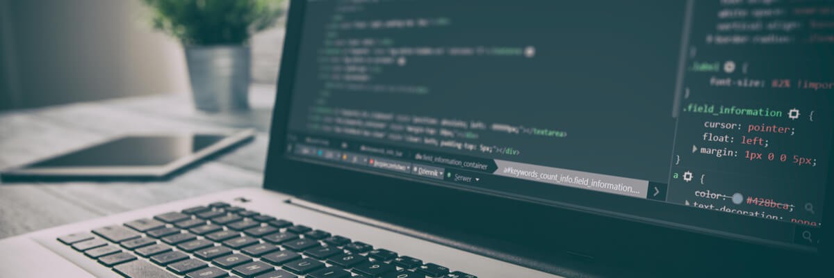 The Types of Software Development Models banner image