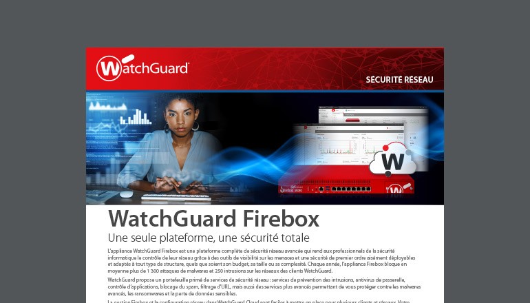 Thumbnail of brochure available to download below