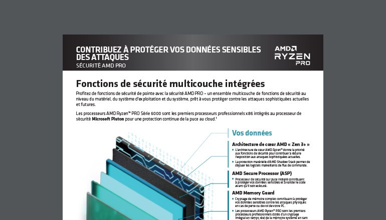 AMD Ryzen Pro Security FR